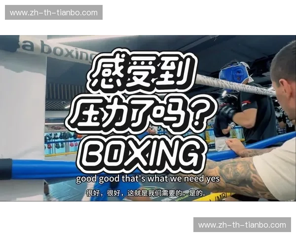 推荐拳击下载：让拳击训练走进你的掌心